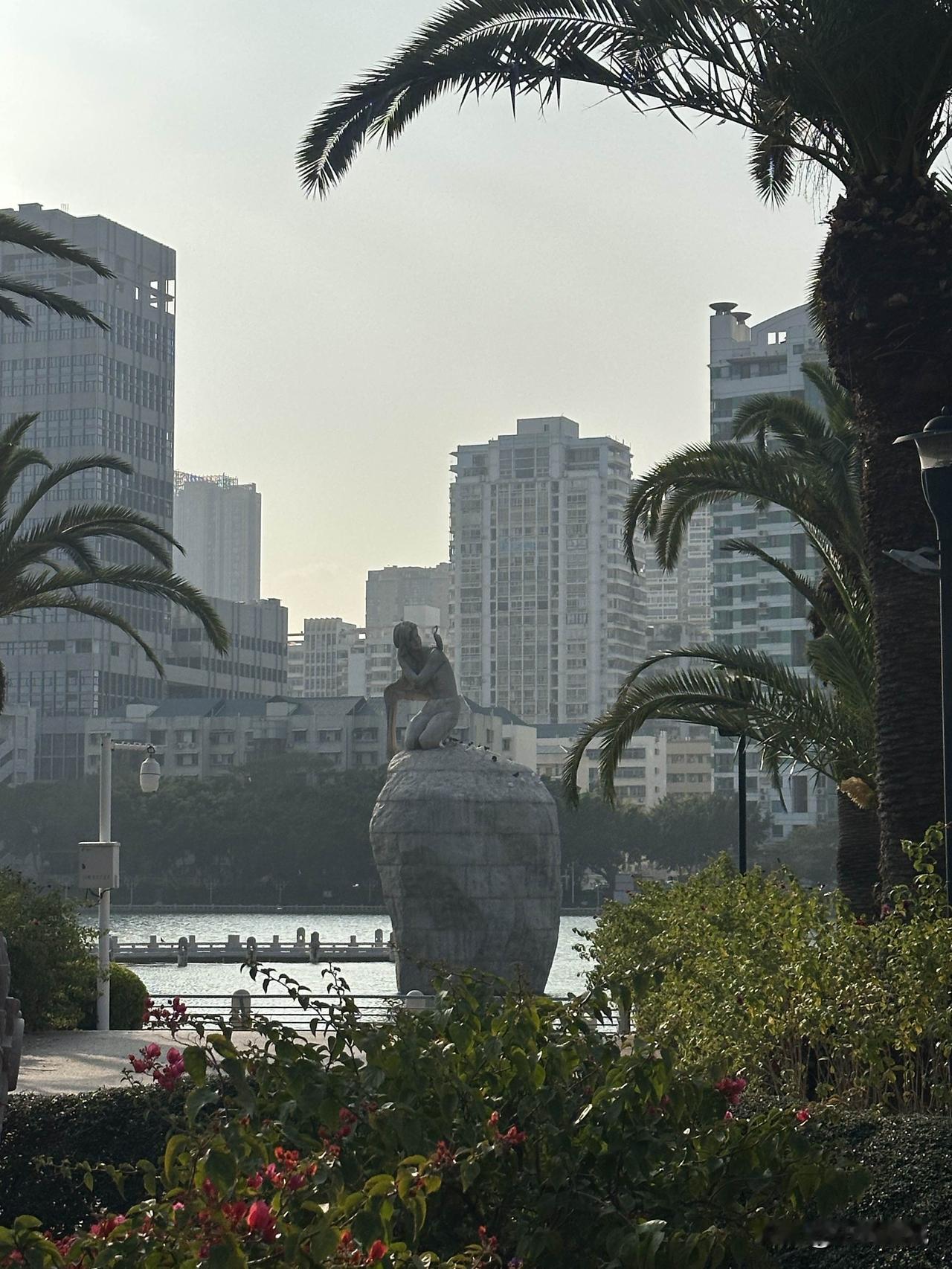 分享一下你随手拍下的照片白鹭女神。