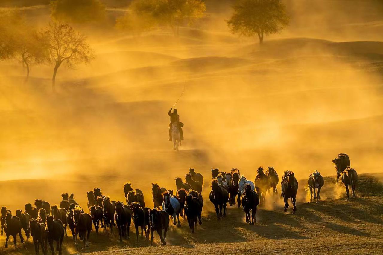 马到成功。我的摄影日记 马年拜大年 新春快乐