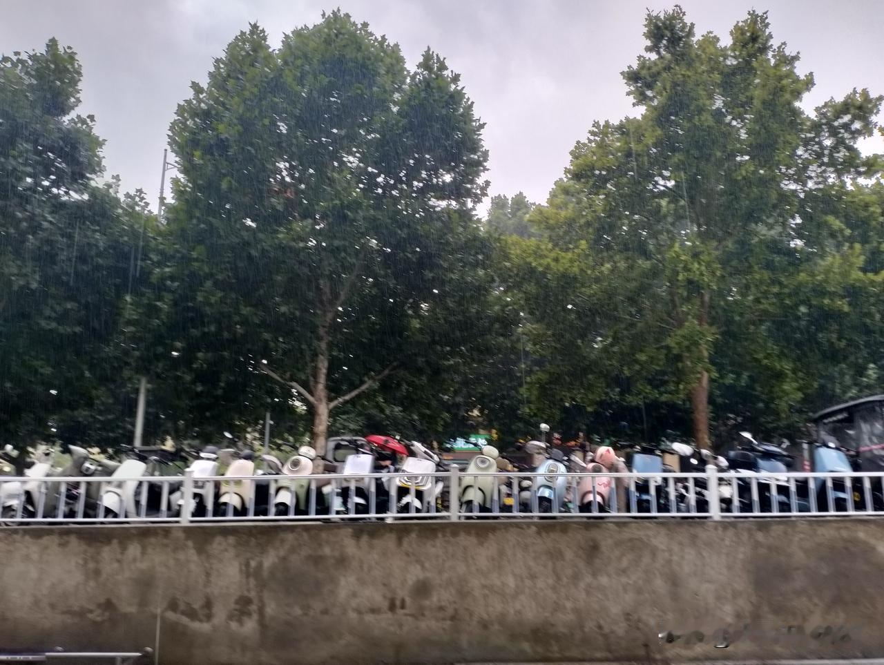 夏日生活打卡季夏天的雨，说来就来，说下就下！