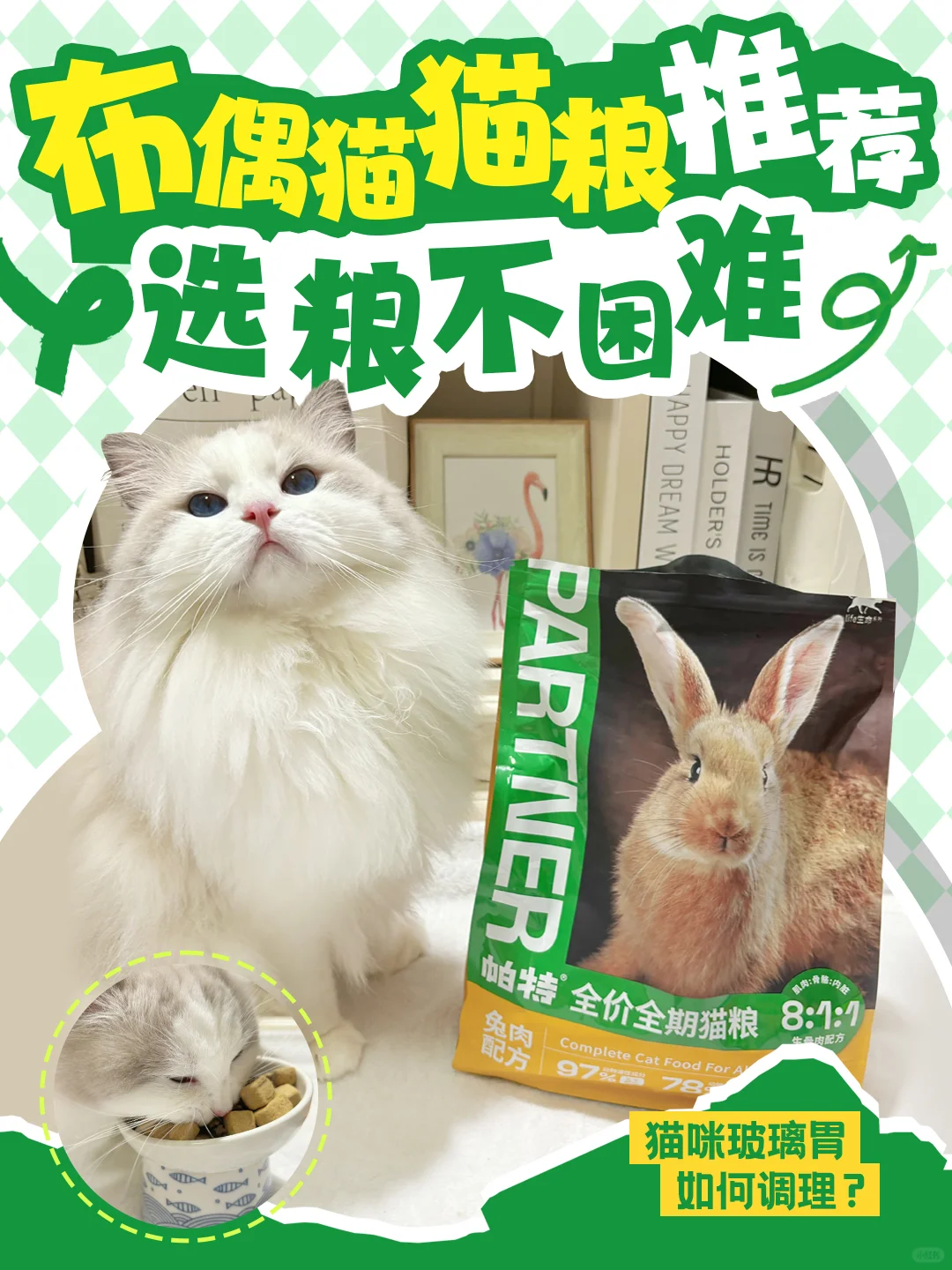 布偶猫猫粮推荐，选粮不困难！