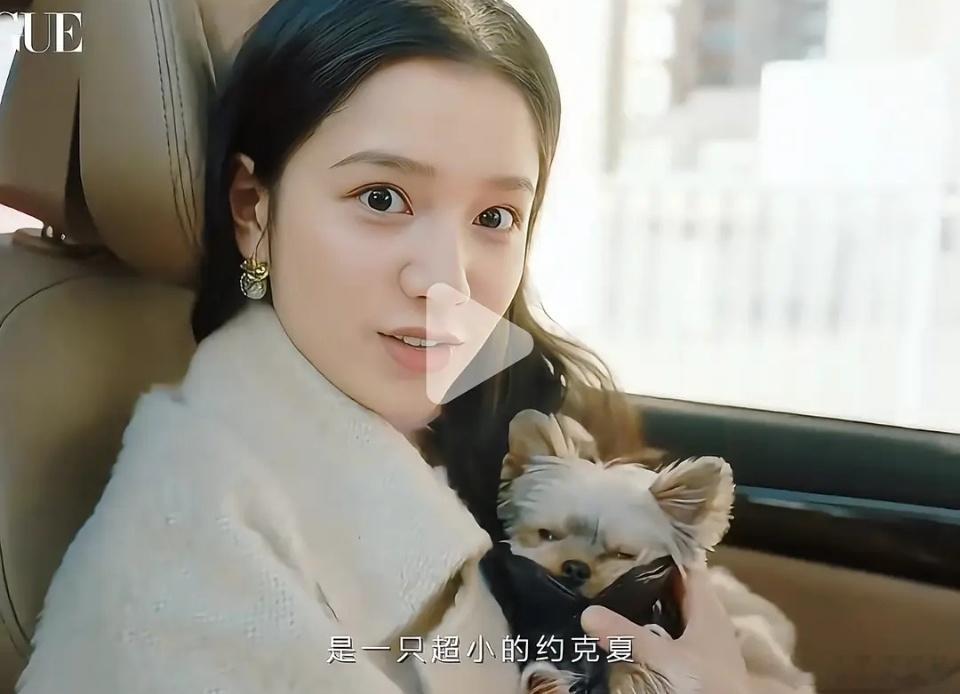 张婧仪身为公众人物居然还养超小体约克夏，她真的爱狗吗 