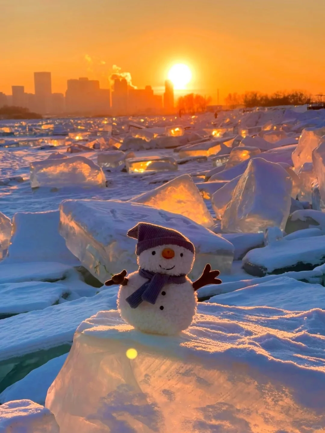 哈尔滨❄六天五晚🌃旅游攻略来啦