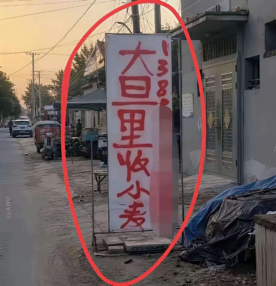 看了半天才看懂，是大量收小麦！[捂脸][捂脸][捂脸]
