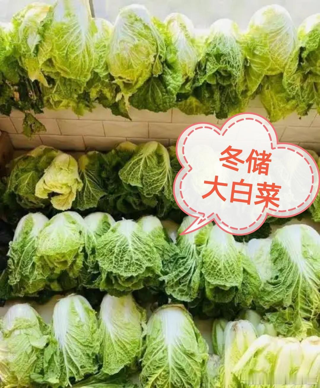 白菜从7毛飙到4块，真相来了！
秋菜刚收摊没几天，白菜价格就像坐了火箭！前阵子还