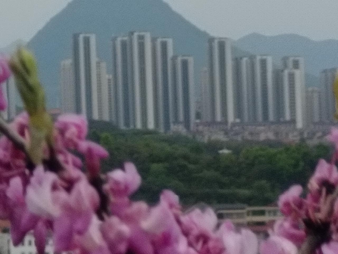 晒出你的本地生活神奇的八面山，从前见到八面山吃得簿粥汤，如今巨变成一座闻名世界的