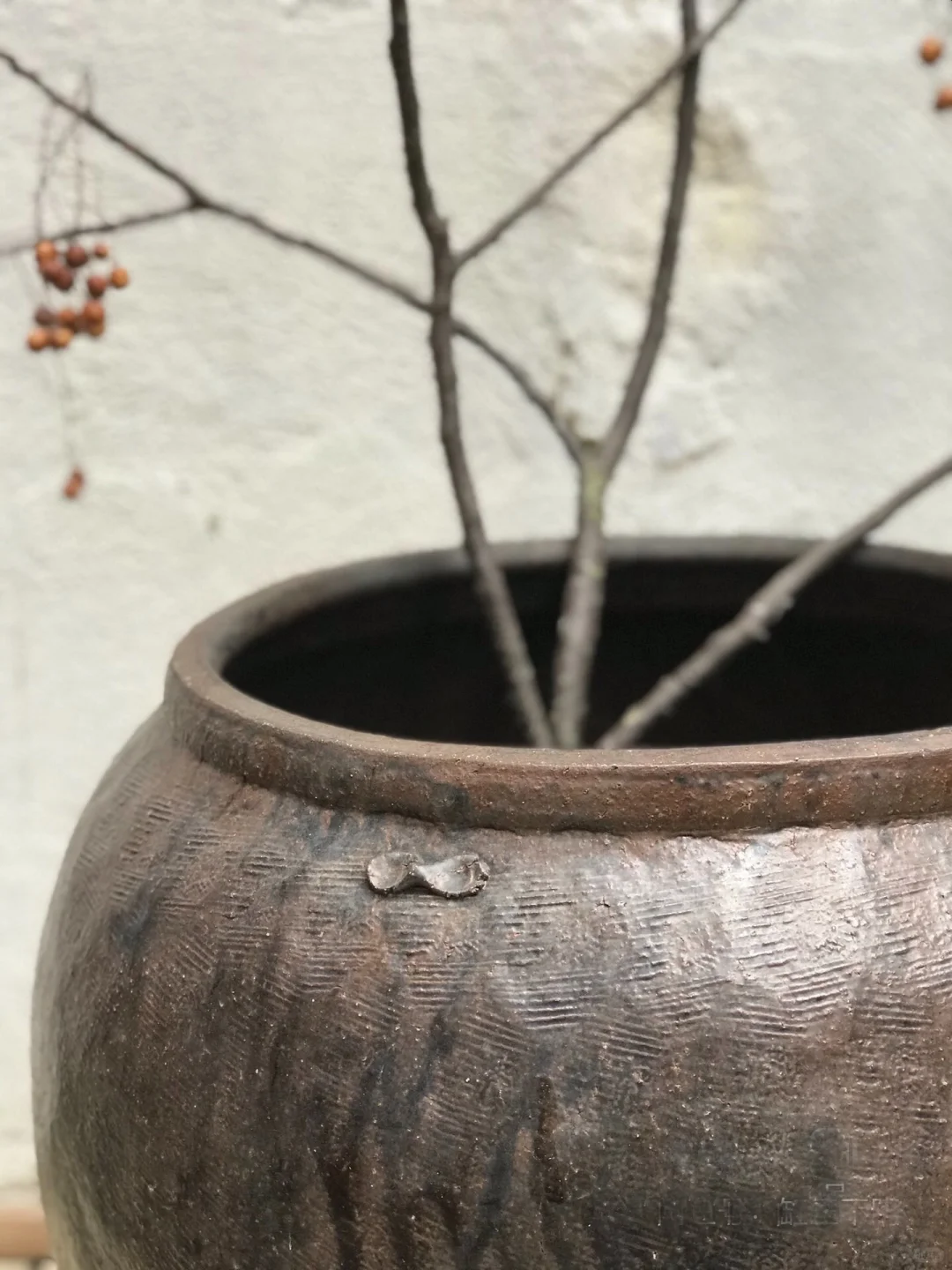 大口矮缸；养荷花、养鱼老缸；庭院绿植花盆。