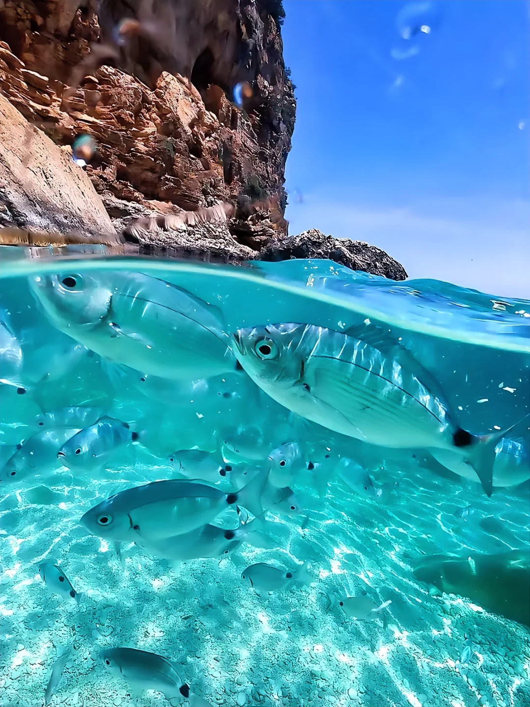 世界顶级海岛之一🌊撒丁岛度假攻略看这篇！