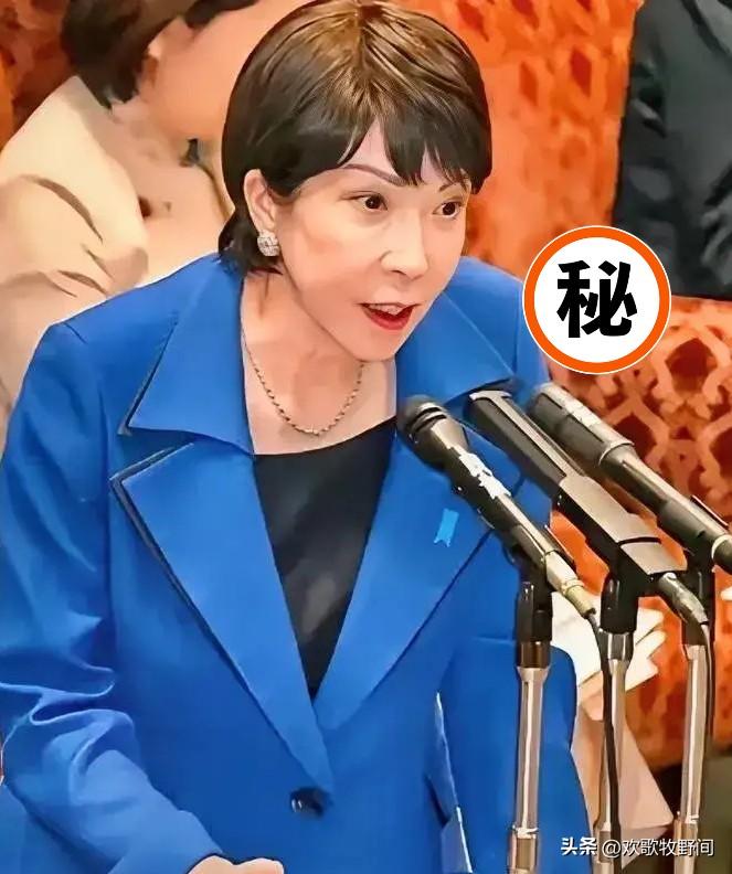 日本最新消息
联合国公开消息
2026年8月26日，根据央视新闻等多家媒体报道，