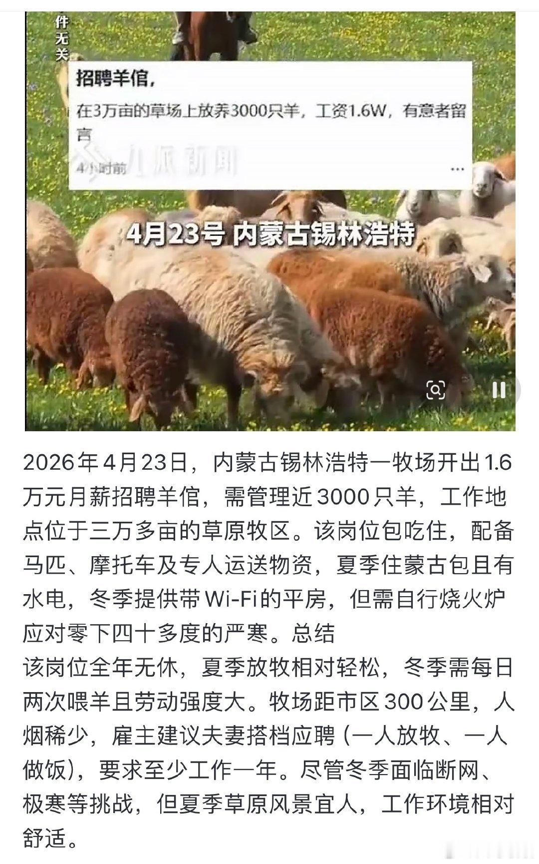 救命！这份工作真的纯纯体力活，感觉是拿小命在换钱这一个月1.6w的工资，真不是轻