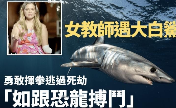 澳洲一名34岁小学女教师史都华（Leah Stewart）今年6月13日在悉尼库