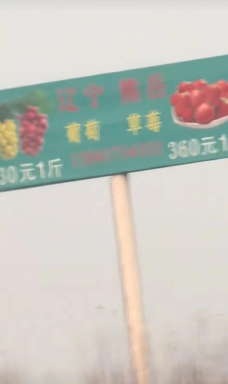 没想到营口还有如此的宝贝
有游客在营口高速公路上看到路边竖着一个很显眼的广告牌