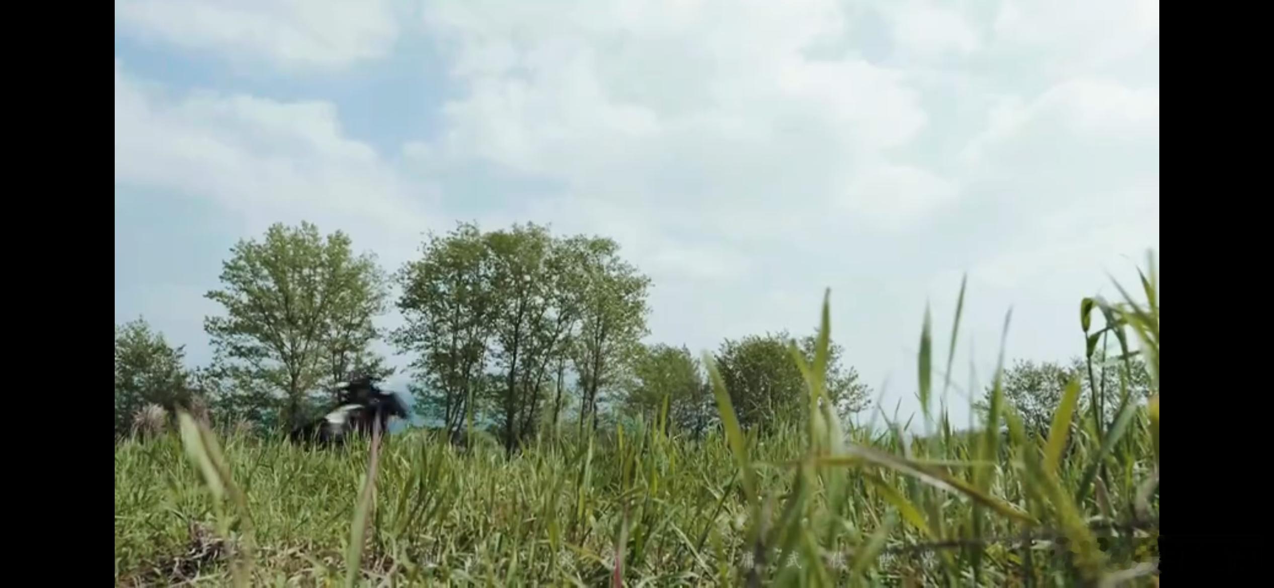 #选此沙演郭靖是因为沙骑马吗#不得不说此沙这个骑马的状态是真的太帅气了，让人感受