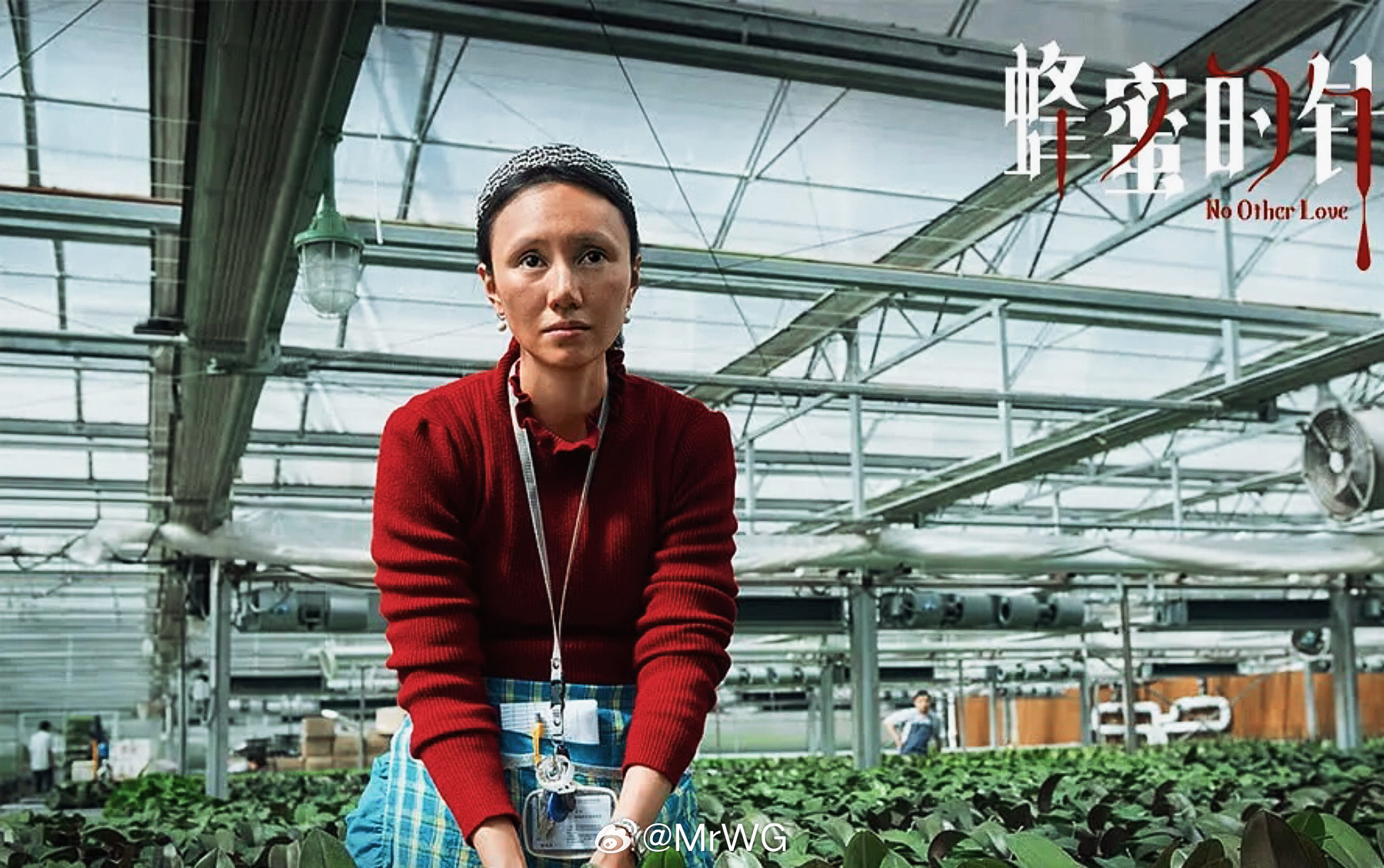 蜂蜜的针(2026) 我的评分：非常喜欢电影蜂蜜的针 ——1. 赵薇赵薇 作为导