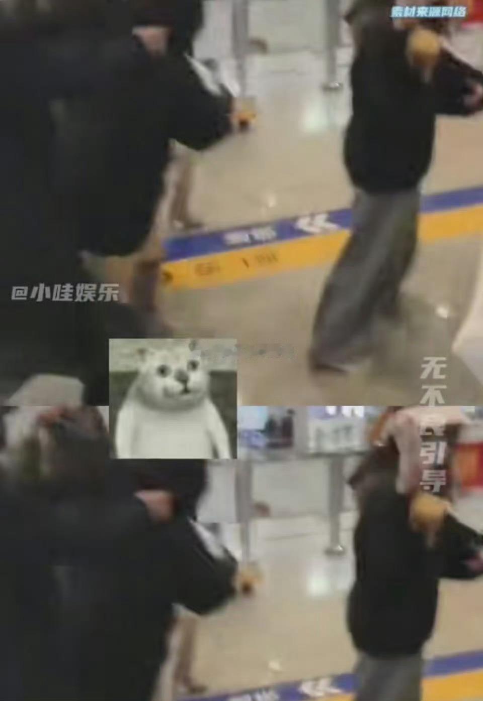 有没有可能是灵超私联这位粉丝？ 