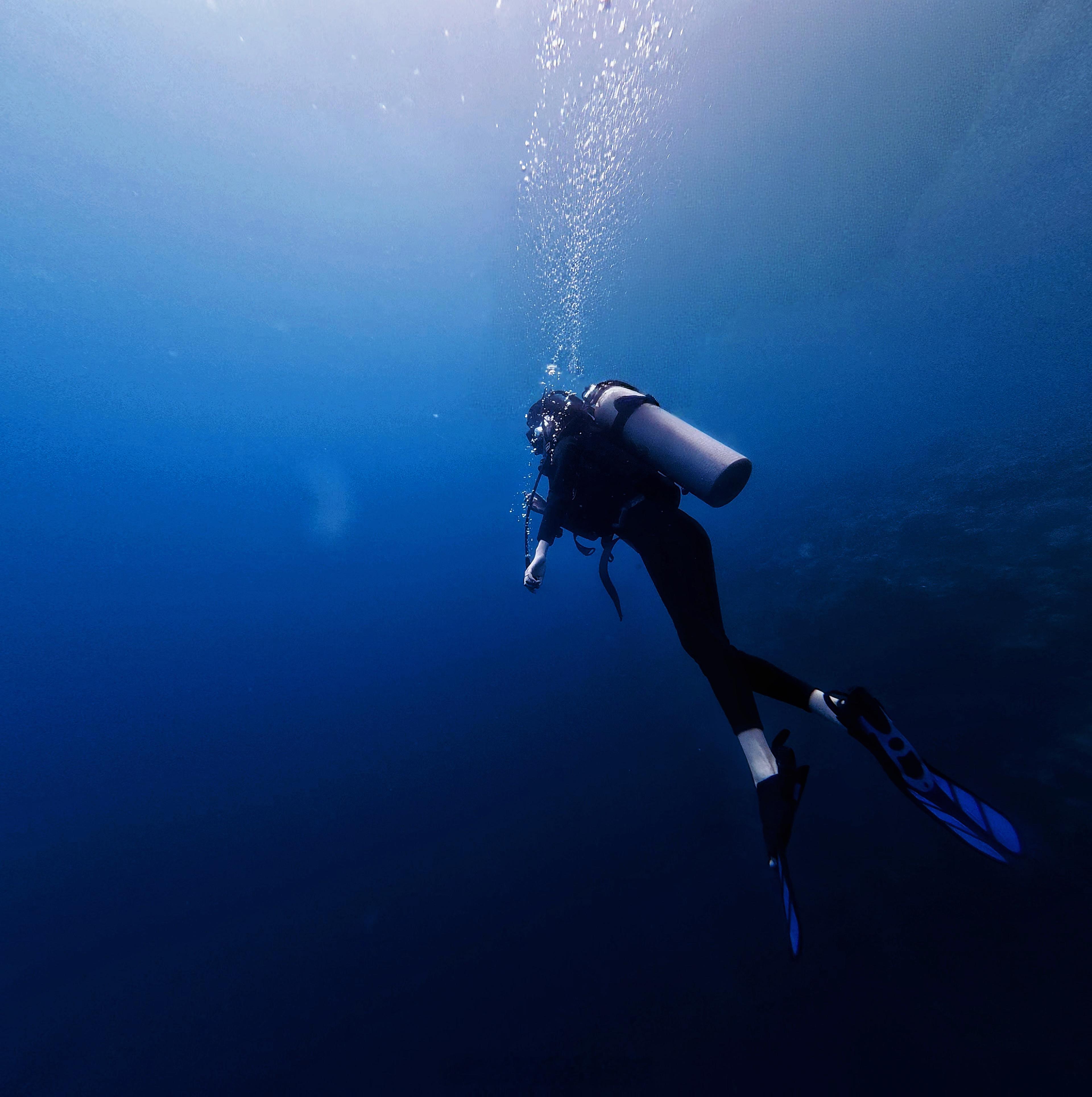深潜🤿 菲律宾·Napaling Dive Point