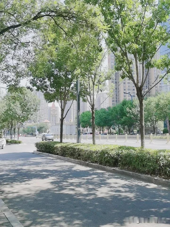 晒图笔记大赛今天是2026年7月23日‍星期四（农历六月初十）今日大暑。