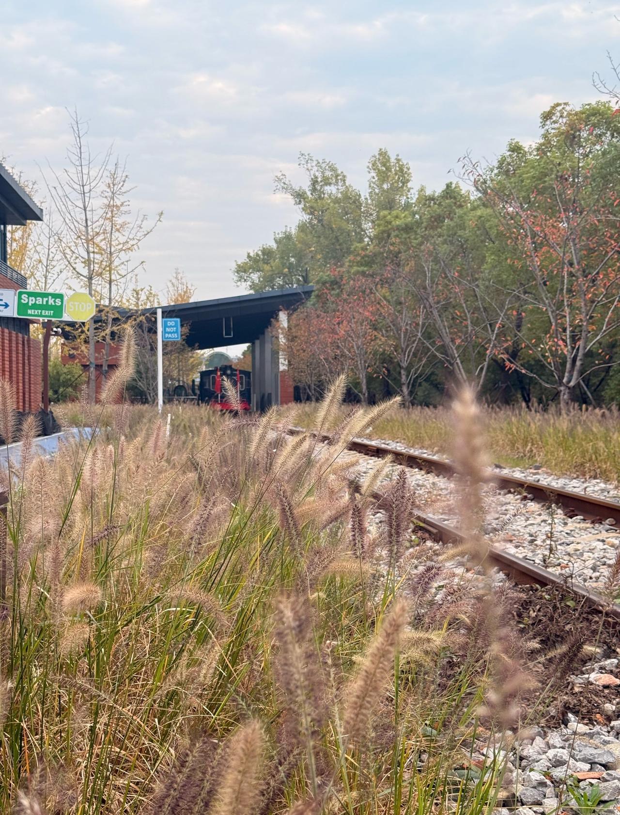 城市公园的秘密边界
📍苏州 武汉青山火车文化主题乐园
在青山公园南边的火车主题