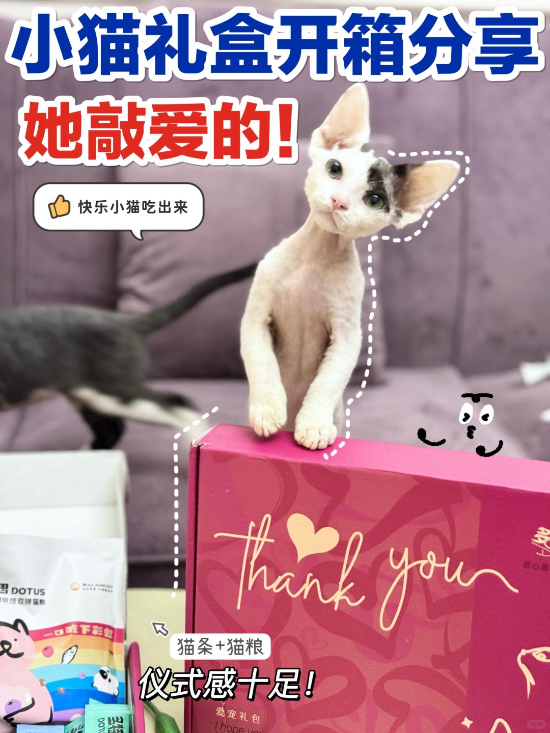 别的不说👉我家毛孩子实打实的满意了