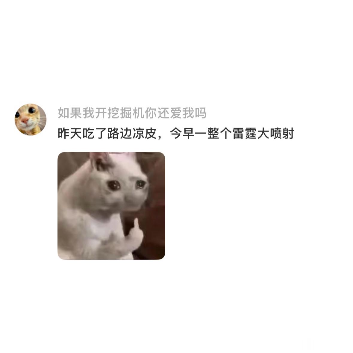 爱吃路边摊的人天塌了 