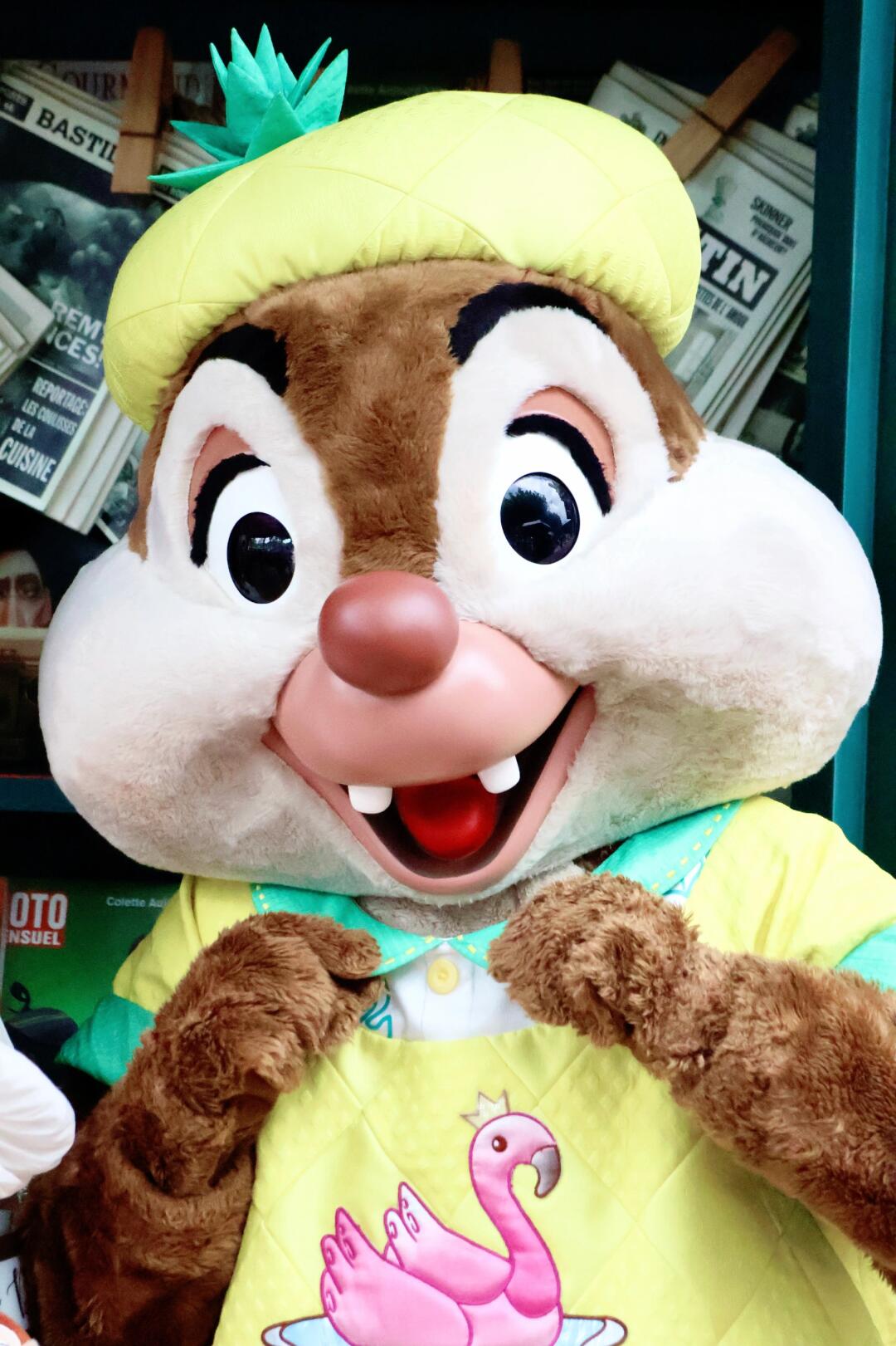 ❤️奇奇蒂蒂小可爱❤️