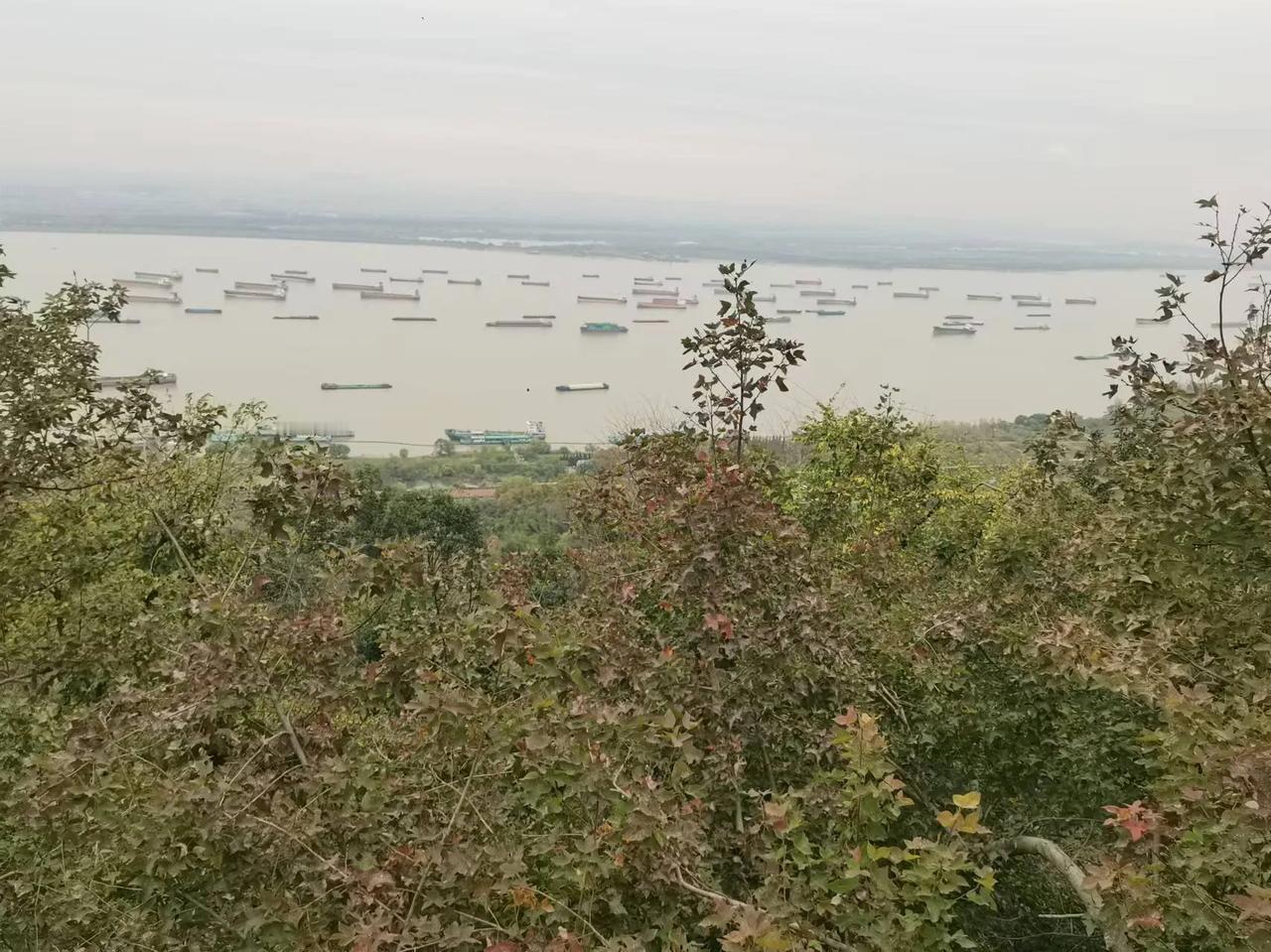 山人今不见，山鸟自相从。
长啸辞明主，终身卧此峰。
——南京栖霞山[可爱]