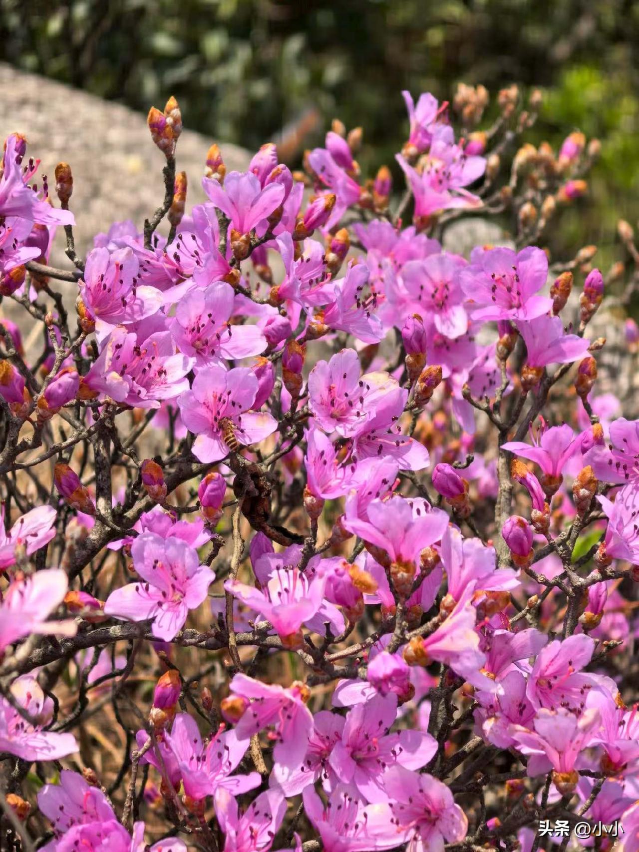 过年的时候，不想跟老人回老家，
逢年过节时，回老家成了好多在外家的家庭。

快到