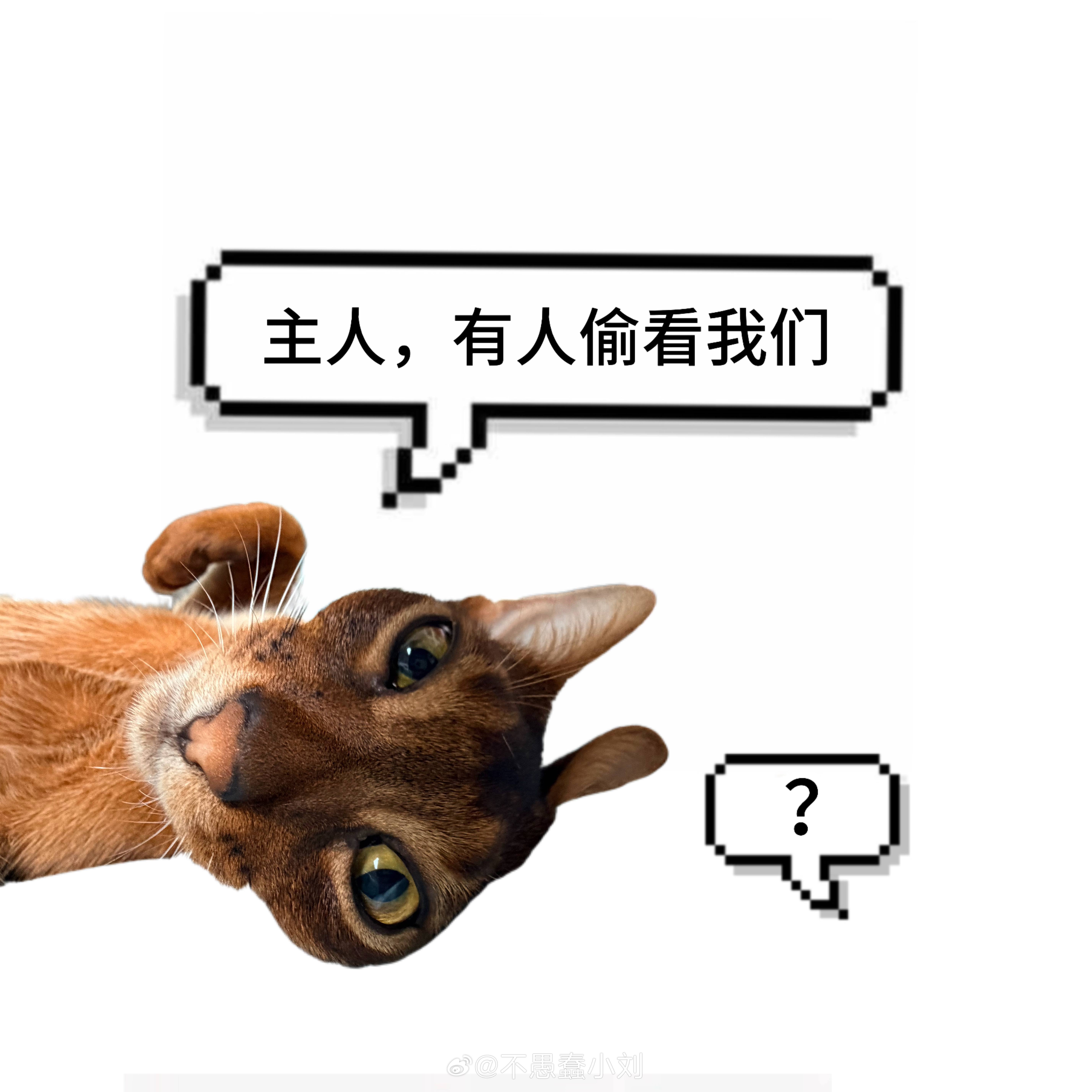 📣应援棒征集计划！诡秘们！这个月21号要去参加抖音创作者大会，这次会有红毯活动