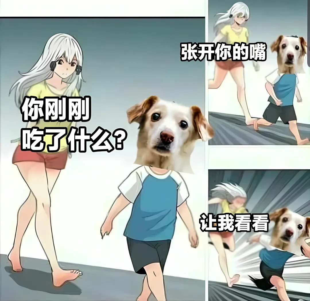 🐶：别追了！下次有热乎的先给你就是了 meme  / 