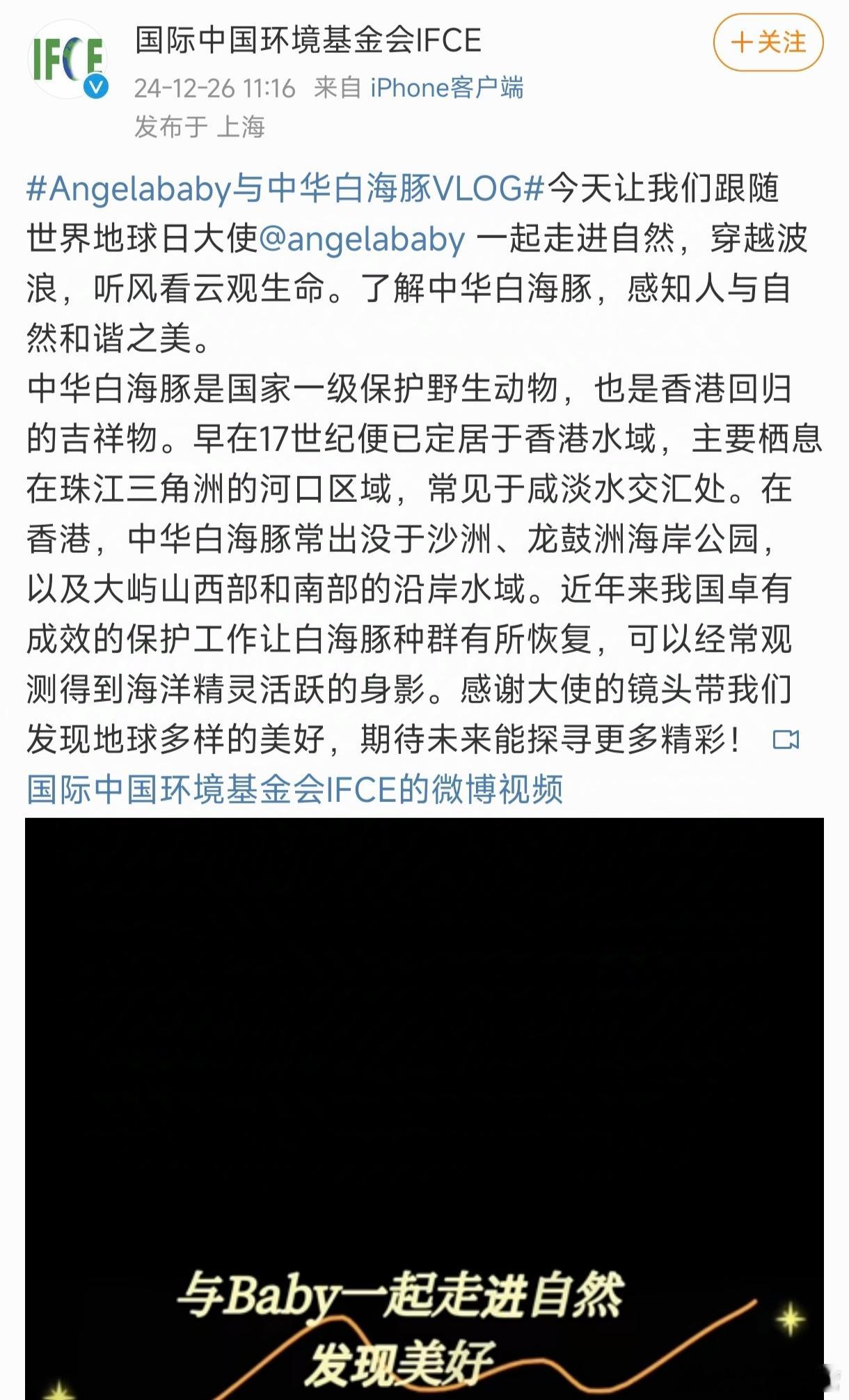 国际中国环境基金会发布艺人Angelababy杨颖与中华白海豚的vlog，作为世