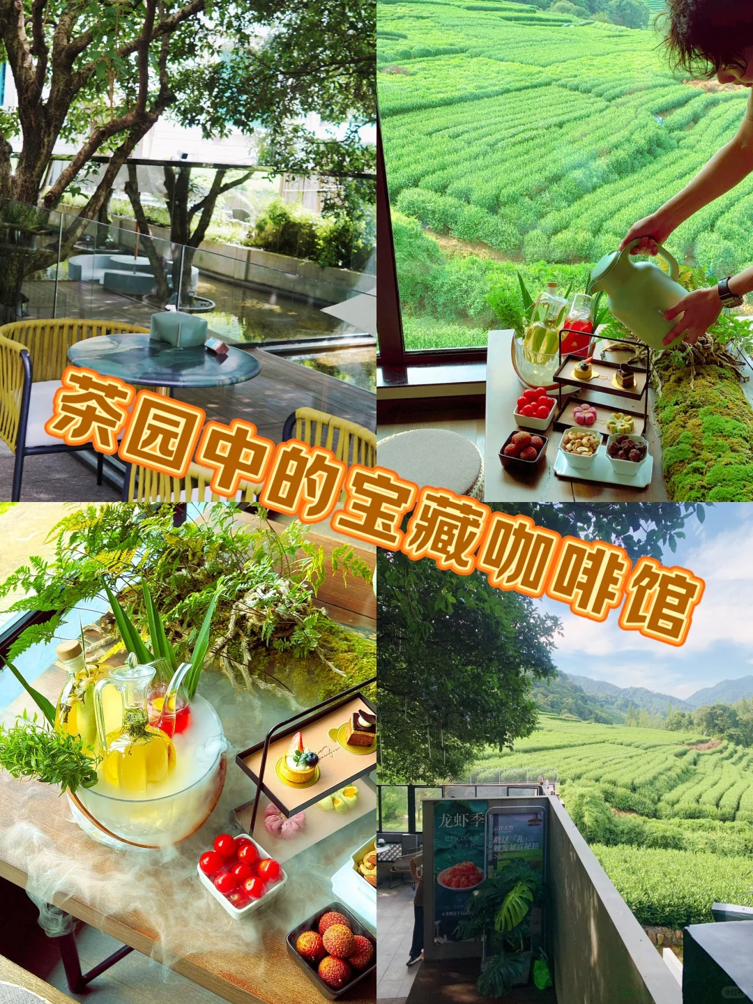 🎈深入万亩茶园，有网红打卡地——云径天竹咖啡屋。它被茶山环绕，270...