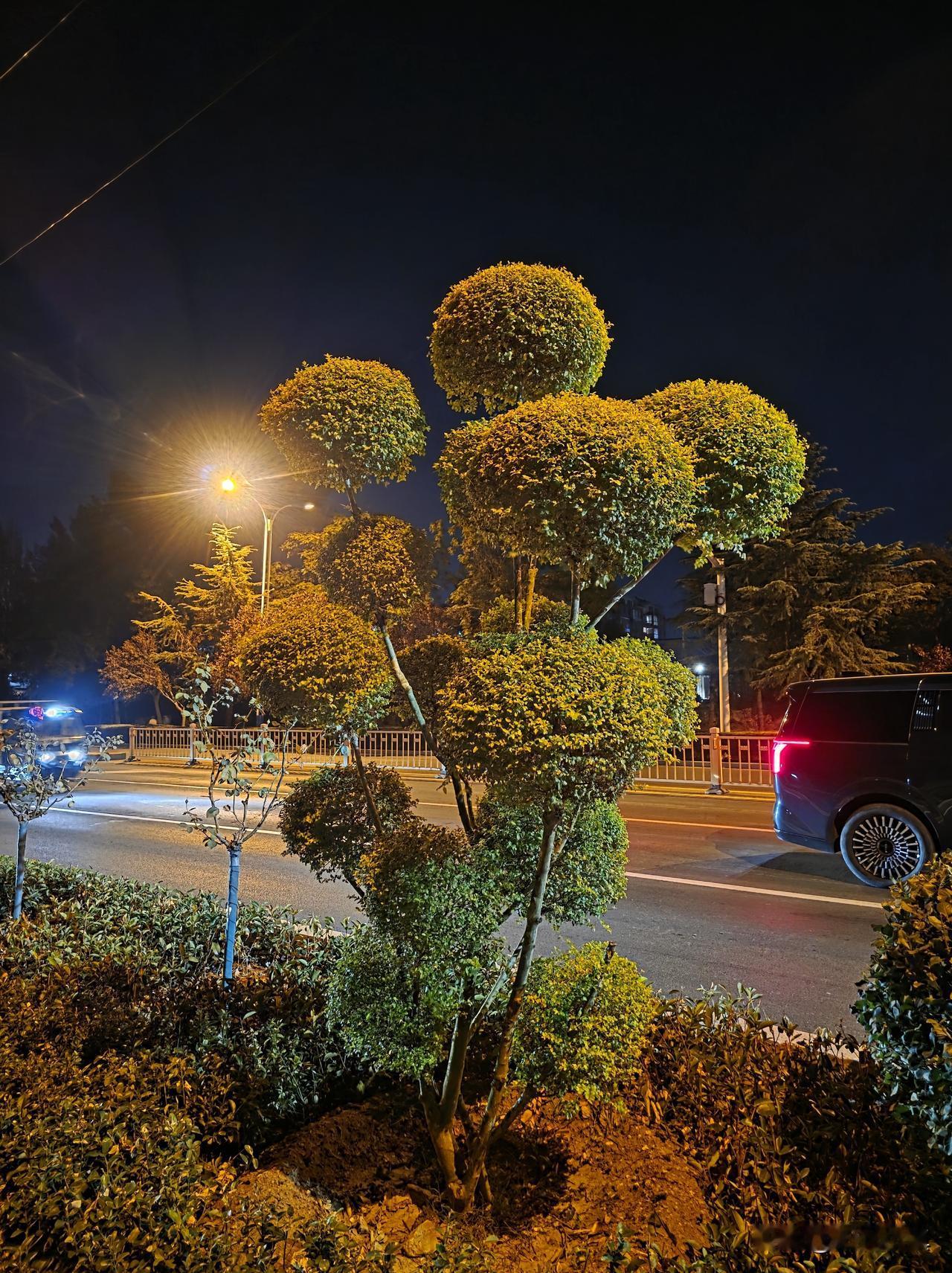 在村里住着，会发现这样一个现象——兄弟姐妹不团结甚至翻脸，大多是父母的偏心惹出来