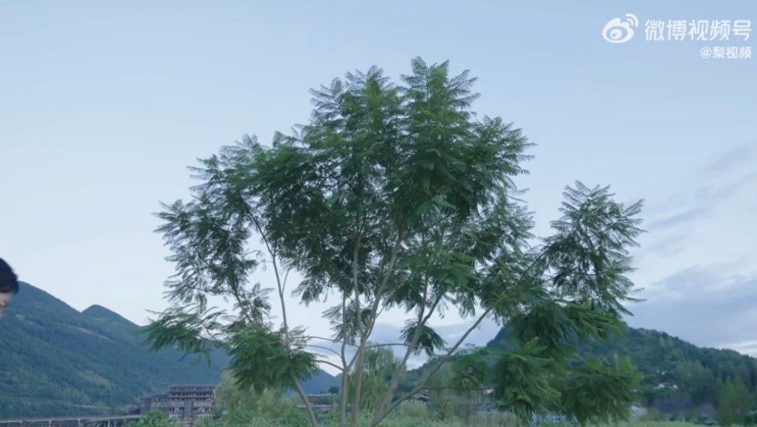 18岁女孩把曾经的伤疤变成了光18岁姑娘把伤疤纹成光，470个女孩一起唱歌，每一