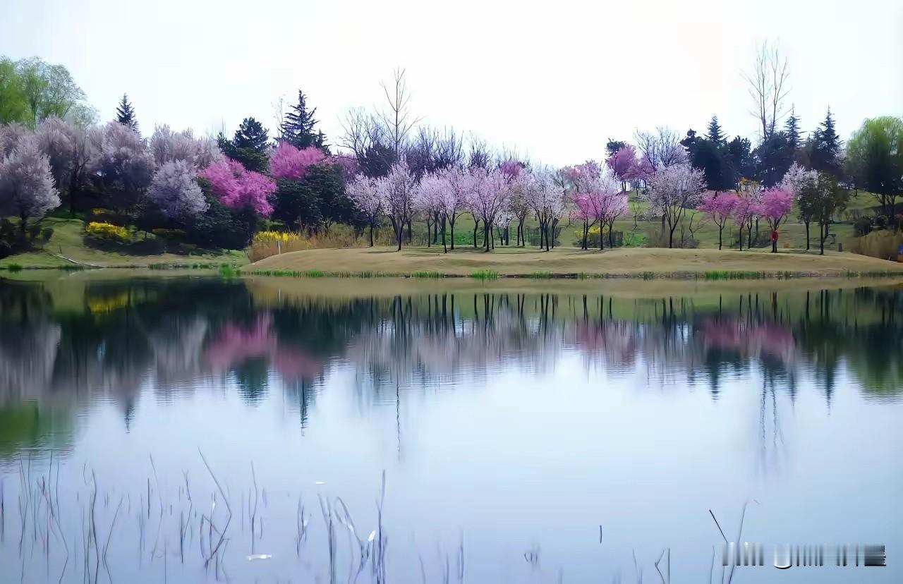 民间流传的老话
老来忙寿命长
公不离婆，秤不离砣
生孩子和坐月子都不能在娘家
儿