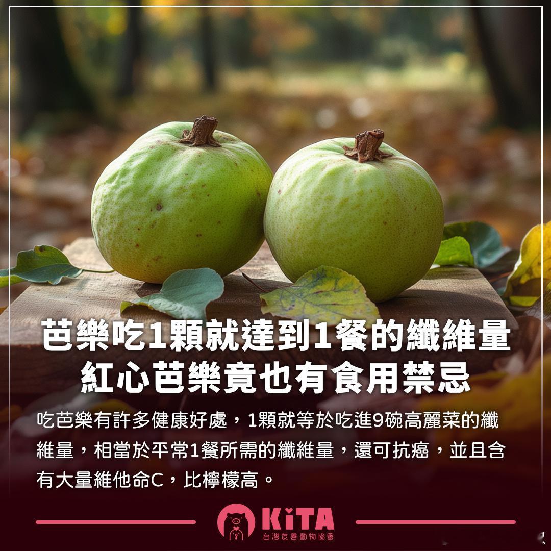 【芭乐吃1颗就达到1餐的纤维量】芭乐也叫番石榴，它的热量低，水分多，易有饱足感，