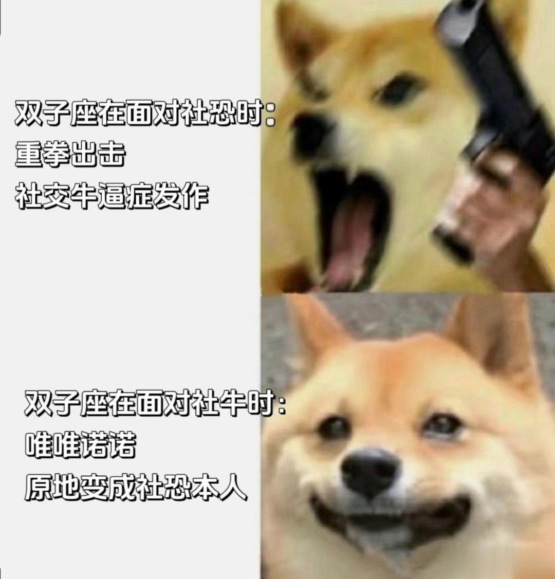 你小子还有两副面孔呢[旺柴]#幸运星指南# ​​​