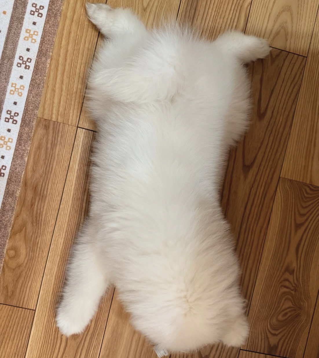 晚安耶 ​​​