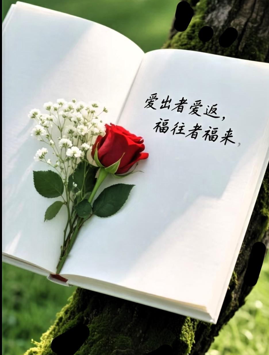早上好啊，人人都喜欢美，美也是分段分层次的

年轻时候靠颜值，一眼让人惊艳
到中