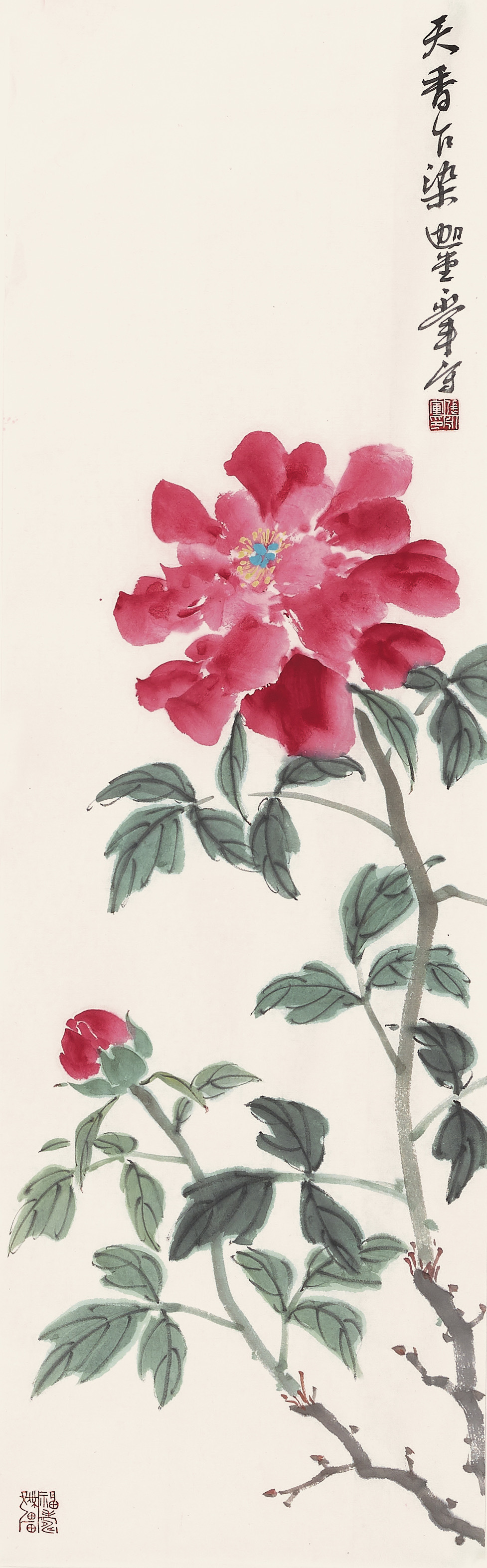 含苞待放，生生不息画面中，除了顶端盛放的红牡丹，左下角还有一枚紧致的花苞，含羞待