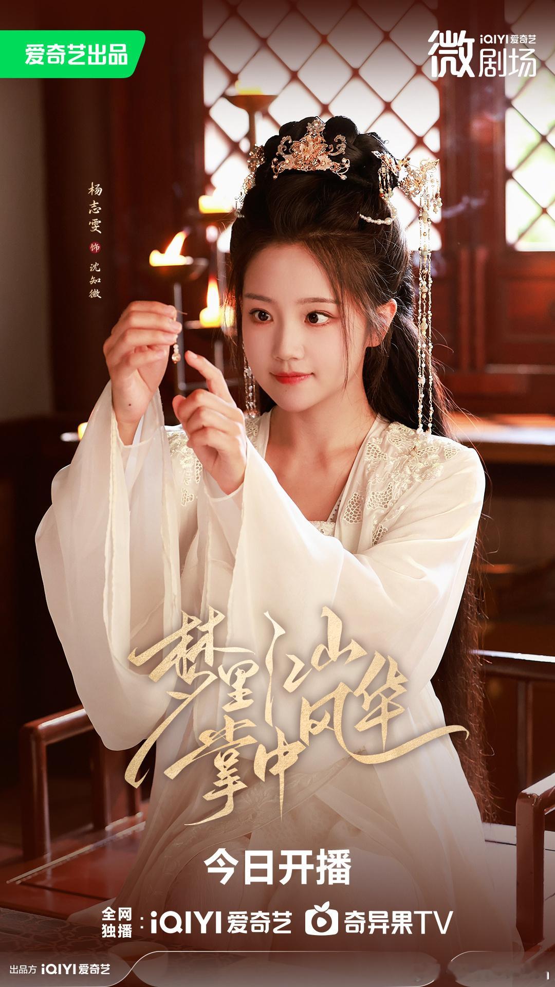 梦里江山掌中风华 沈知微心系家国天下国庆佳节一起来爱奇艺🥝看剧啦今日10点上线