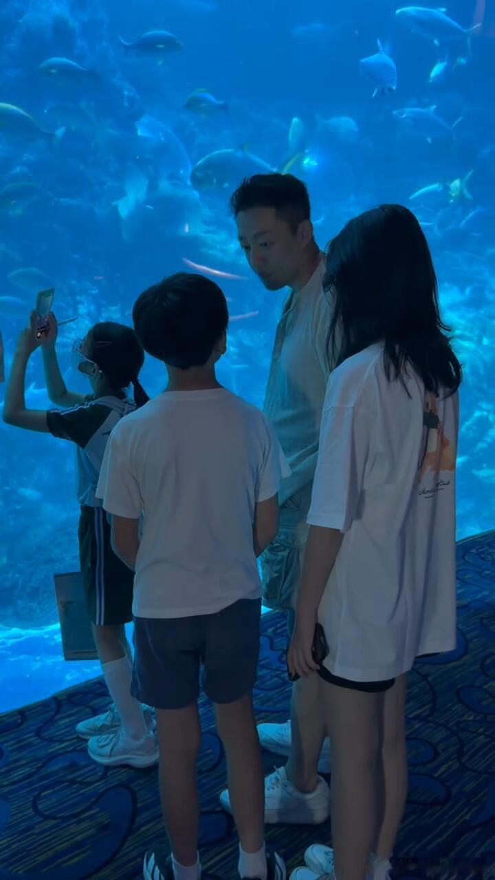 大S儿女和爸爸去海洋公园大S前夫陪着姐弟俩往前走，边走边分享水里小动物。大S前夫