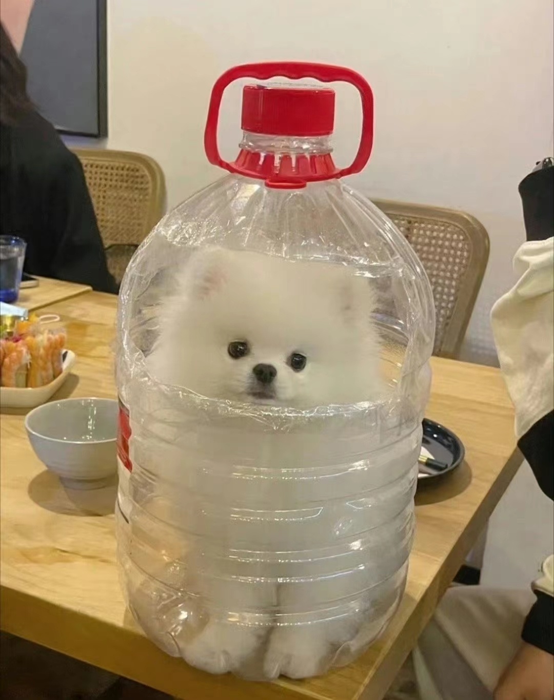 真是好大一瓶农夫山犬 ​​​