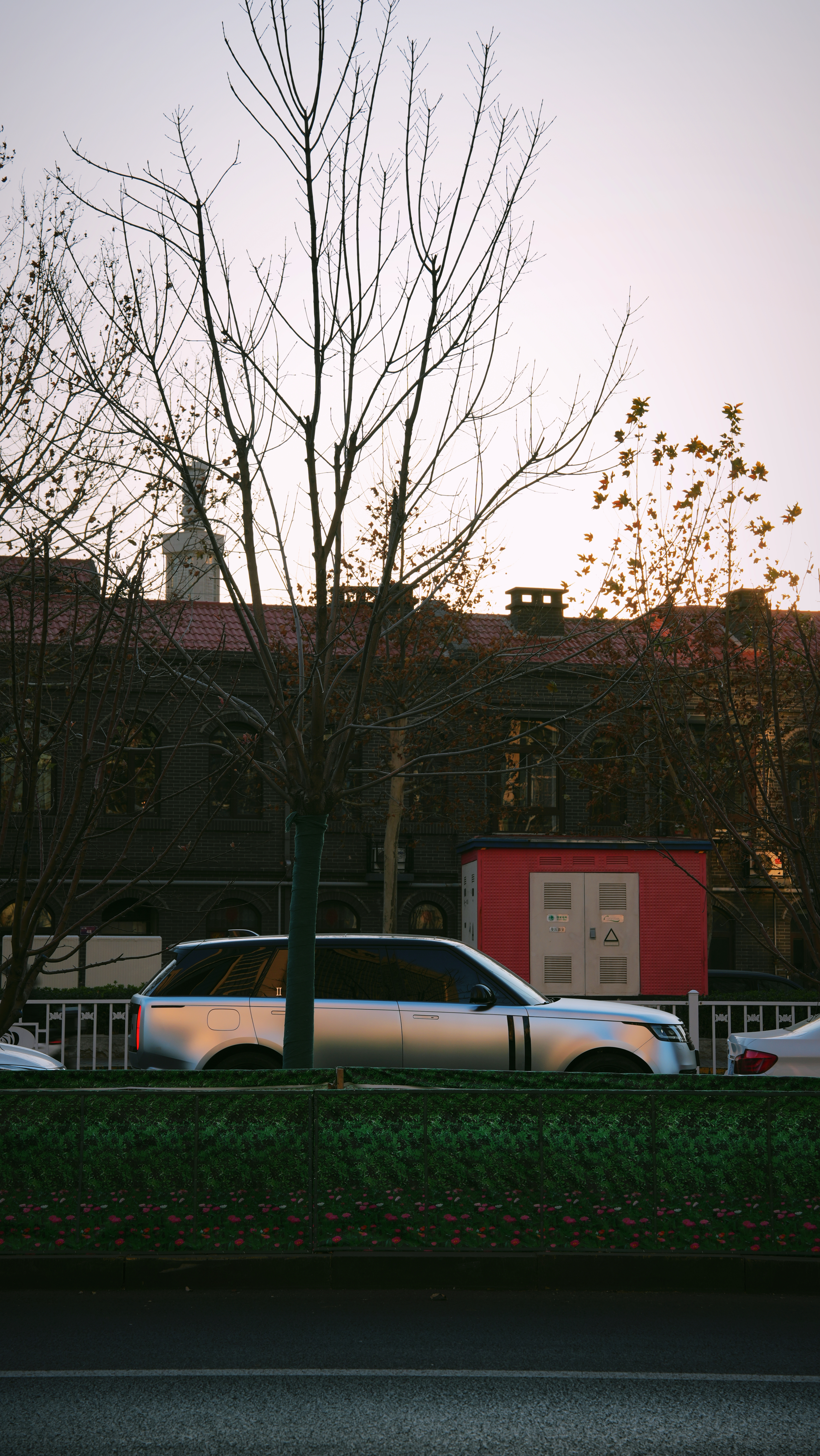 天津，第一次来 天津·老华洋饭庄