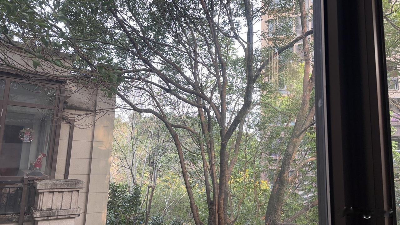 家有男孩的，看过来！！
男生想活得越来越顺，其实只有一条底层逻辑：把注意力从“外