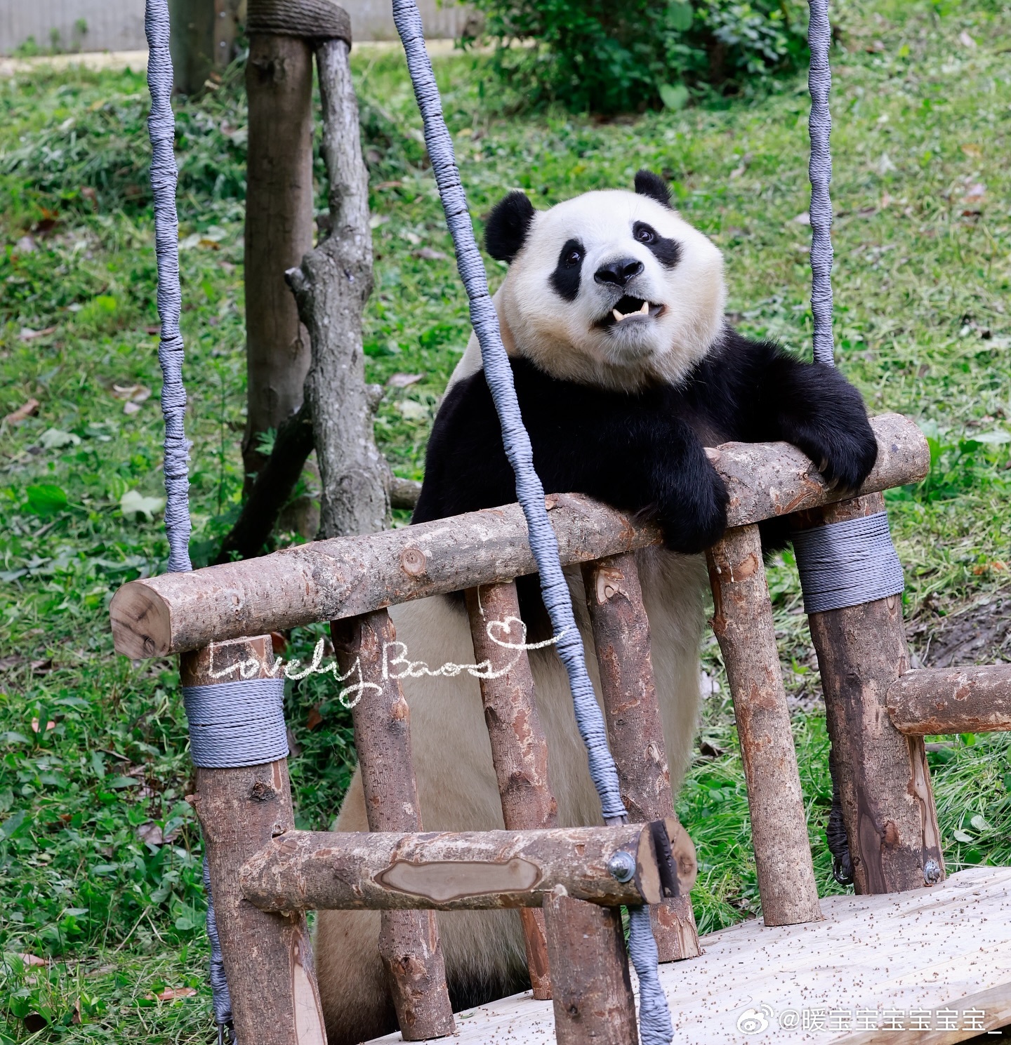 每天早起打卡早安安～ 