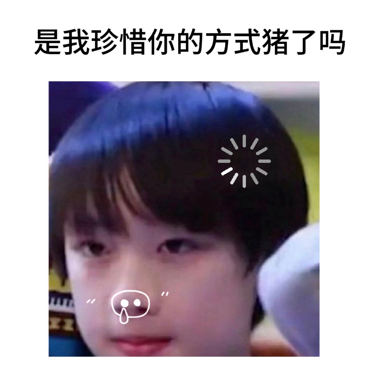 宝贝猪 