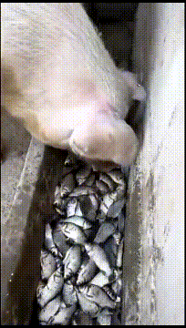 吃不完，根本吃不完