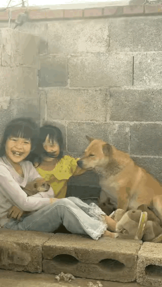有一说一，
这个友谊应该是真的。