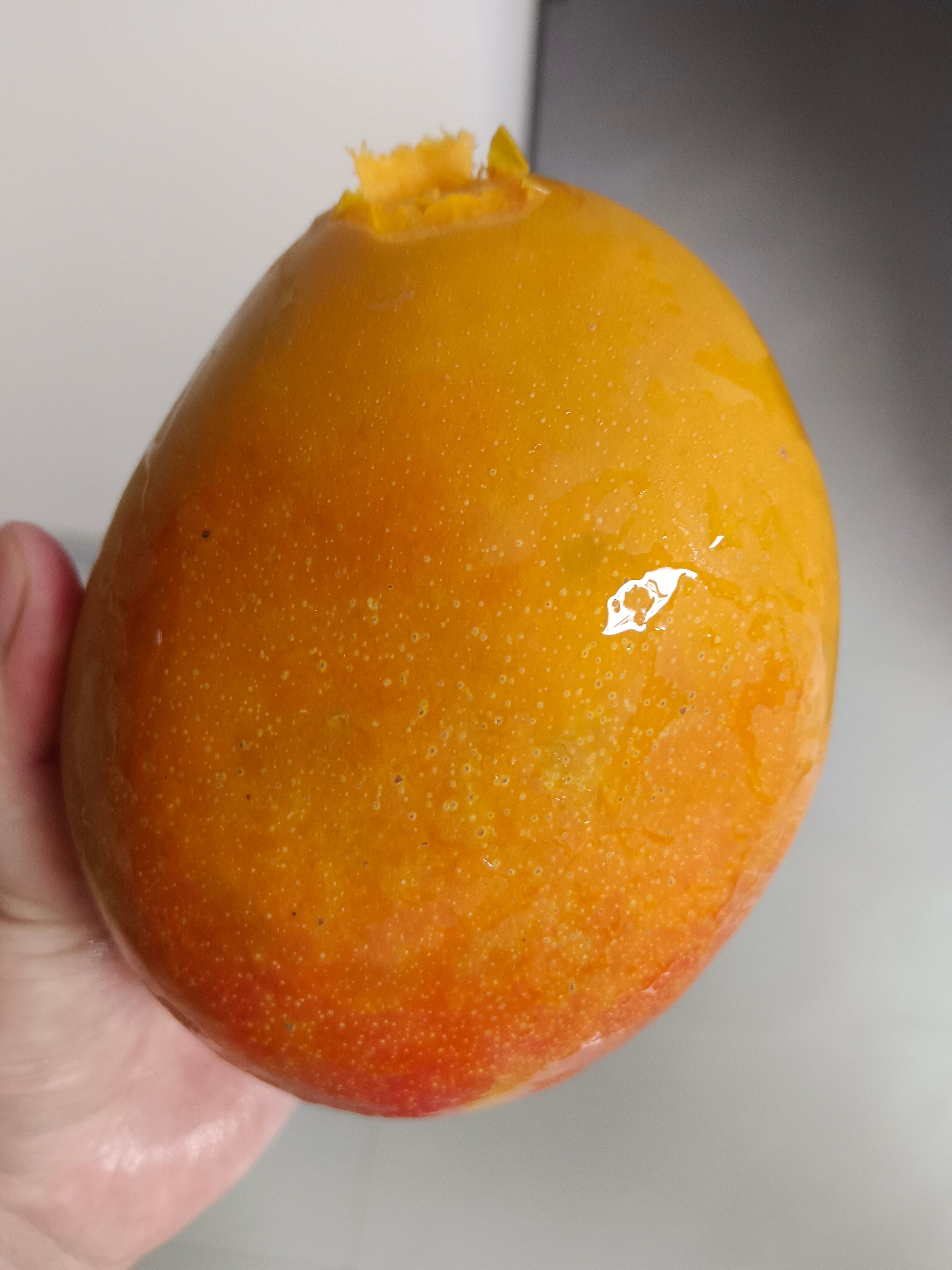 大芒狗 ​​​