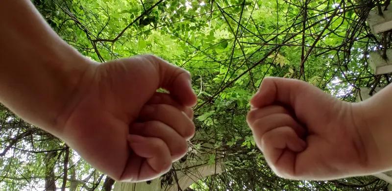 上上下下上下不易，诚邀下联左左右右左右挥拳