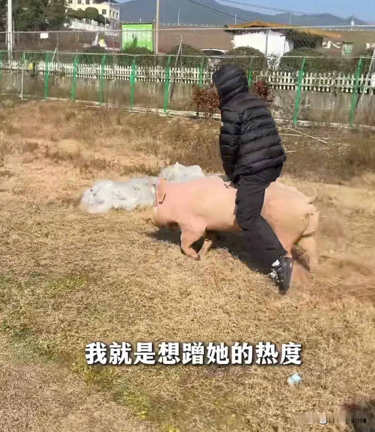 “城巴佬”没想到你也有今天，
这是“农村”包围“城市”的节奏啊，
又有一个模仿“